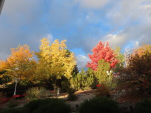 fall back yard at sunrise